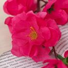 Цветы искусственные "Сакура нежность" 4х60 см, малиновый - Фото 2