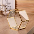 Флорариум каркас «Аквариум», 8×16×14 см - Фото 1