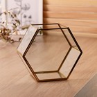 Флорариум каркас «Аквариум», 8×16×14 см - Фото 2