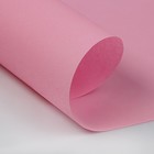 Пергамент флористический "Розовый", 0,5 х 10 м, 58 г/м2 - Фото 2