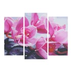 Модульная картина "Фиолетовая орхидея" 25*50 - 2 части, 30*60,  60*80 см - Фото 1