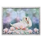 Картина "Лебеди в цветах" 56*76 см МИКС - Фото 1