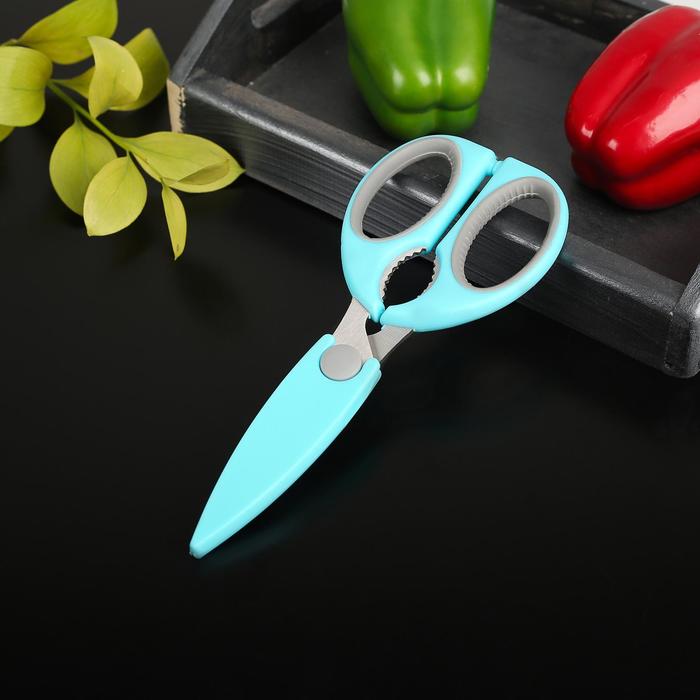 Ножницы кухонные Доляна «Эльба», 22 см, с чехлом для лезвий, цвет МИКС - Фото 1