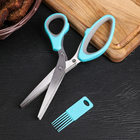 Ножницы кухонные для зелени Доляна «Шеф», 21 см, цвет МИКС - фото 319783725