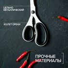 Ножницы кухонные Доляна «Профи», 23 см, цвет чёрный - Фото 4