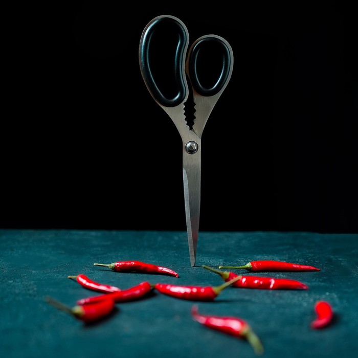 Ножницы кухонные Доляна «Профи», 23 см, цвет чёрный - фото 1881868001