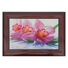 Картина "Большая орхидея"  27*37 см - Фото 1