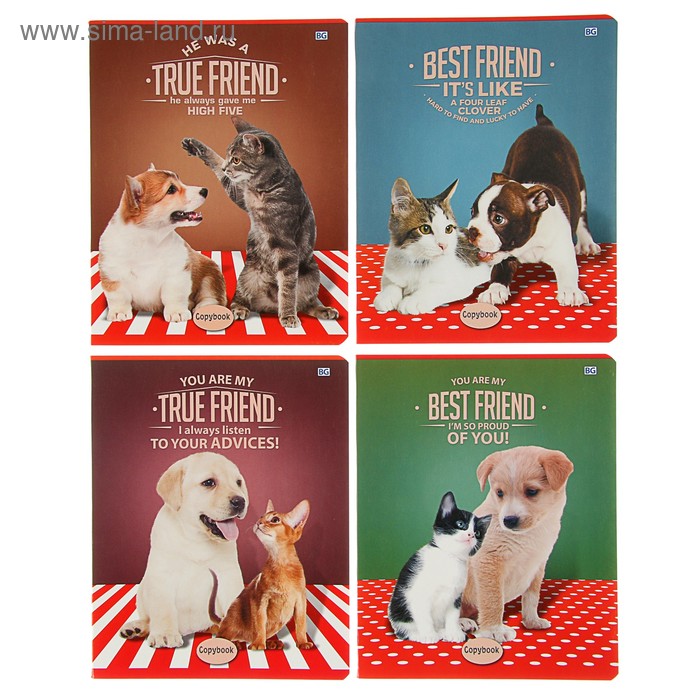 Тетрадь 48 листов клетка "Лучшие друзья" обложка мелованный картон, микс - Фото 1