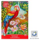 Альбом для рисования А4, 20 листов на гребне ArtBerry «Попугай», обложка мелованный картон 170 г/м2, блок 120 г/м2 - Фото 1