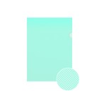 Папка-уголок А4, 160 мкм, Erich Krause Clear Standard L-File, прозрачная, микс - Фото 2