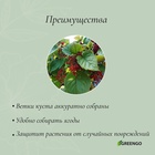 Кустодержатель, d = 20 см, h = 70 см, ножка d = 0.3 см, металл, зелёный, троеножка, Greengo - Фото 3