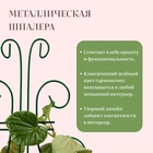 Шпалера, 44 × 18 × 0.3 см, металл, зелёная, «Бабочка» - Фото 3