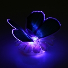 Сувенир светящийся на магните "Бабочка" 9х7 см - Фото 3