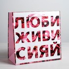 Пакет ламинированный квадратный «ЛЮБИ ЖИВИ СИЯЙ», 22 × 22 × 11см - Фото 1