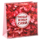 Пакет ламинированный квадратный «ЛЮБИ ЖИВИ СИЯЙ», 30 × 30 × 12 см - Фото 3