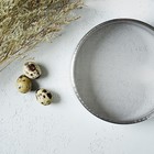 Сито для просеивания Доляна «Металлик», d=13.5 см, нержавеющая сталь, серебристое - Фото 6