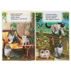 Книжка с наклейками «Кошки» - Фото 2
