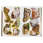 Книжка с наклейками «Кошки» - Фото 3