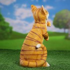 Садовая фигура "Кошка игривая" 37х22 см - Фото 3