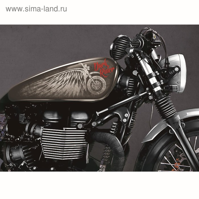 Набор наклеек на мотоцикл Dark Rider, 2 шт - Фото 1