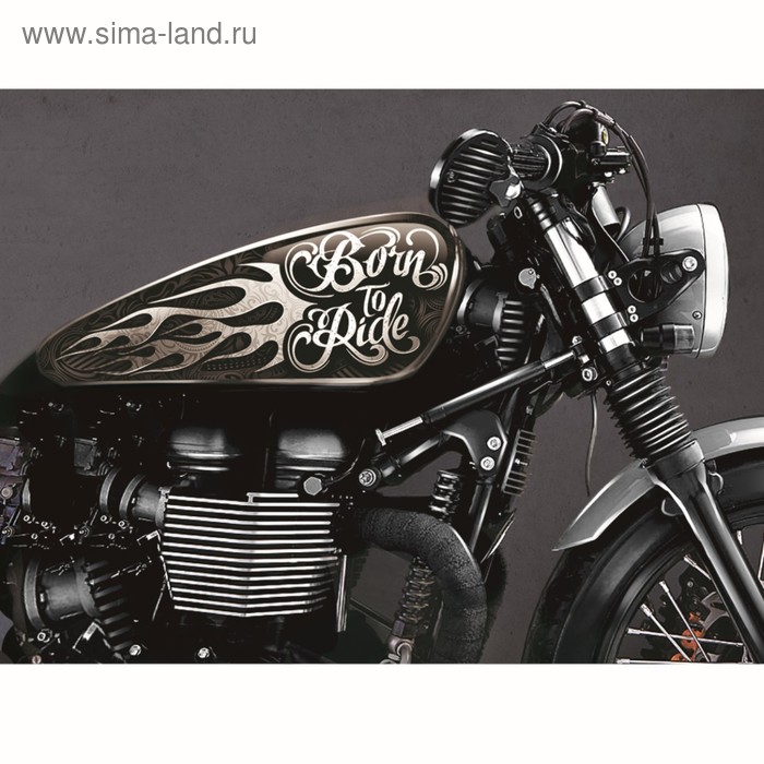 Набор наклеек на мотоцикл Born to ride, 2 шт - Фото 1