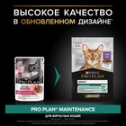 Влажный корм Pro Plan для кошек, утка в соусе, 85 г - Фото 3