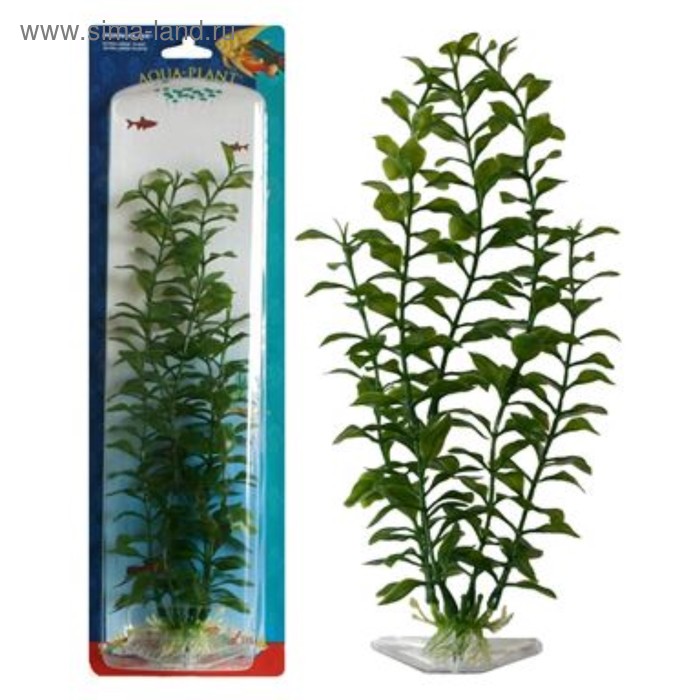 Растение PENN-PLAX BLOOMING LUDWIGIA, 22см, зеленое - Фото 1