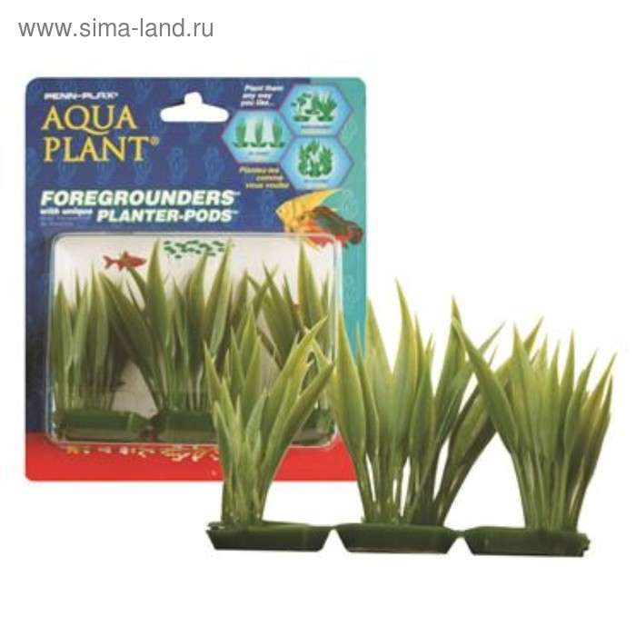 Растение PENN-PLAX AMAZON SWORD PLANT, зеленое, 6шт/упк - Фото 1
