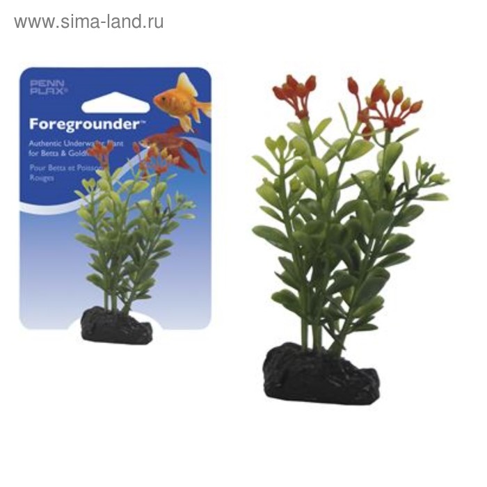 Растение PENN-PLAX MONEYWORT, 9см, с грузом, оранжево-зеленое - Фото 1