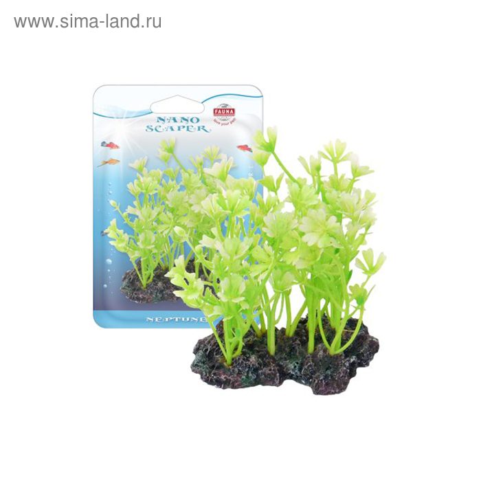 Растение Fauna INT HIDROCOTYLE, 10см, с грузом, бело-зеленое - Фото 1