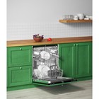 Посудомоечная машина Flavia BI 60 Delia, 12 комплектов, класс А++ - Фото 3