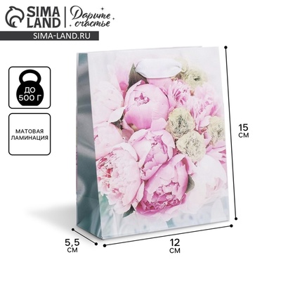 Пакет подарочный ламинированный, упаковка, «Радости!», S 12×15×5.5