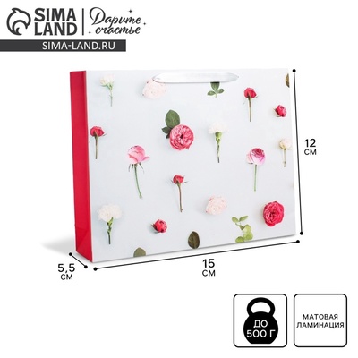 Пакет подарочный ламинированный, упаковка, «Ты прекрасна», S 15 х 12 х 5.5 см