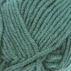 Пряжа "Superlana Maxi" 75% акрил, 25% шерсть 100м/100гр (426 т. зелёный) - Фото 1
