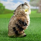 Садовая фигура из гипса «Филин», 19×12×15 см - Фото 5