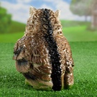 Садовая фигура из гипса «Филин», 19×12×15 см - Фото 6