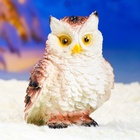 Садовая фигура из гипса «Филин», 19×12×15 см - Фото 7