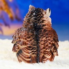 Садовая фигура из гипса «Филин», 19×12×15 см - Фото 9