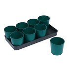 Набор для рассады: стаканы по 500 мл (8 шт.), поддон 40 × 20 см, цвет МИКС, Greengo - Фото 9