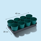 Набор для рассады: стаканы по 500 мл (8 шт.), поддон 40 × 20 см, цвет МИКС, Greengo - Фото 3