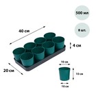 Набор для рассады: стаканы по 500 мл (8 шт.), поддон 40 × 20 см, цвет МИКС, Greengo - Фото 10