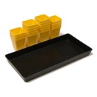 Набор для рассады: стаканы по 200 мл (18 шт.), поддон 36.5×17 см, цвет МИКС, Greengo - Фото 12