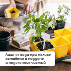 Набор для рассады: стаканы по 200 мл (18 шт.), поддон 36.5×17 см, цвет МИКС, Greengo - Фото 6