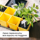 Набор для рассады: стаканы по 200 мл (18 шт.), поддон 36.5×17 см, цвет МИКС, Greengo - Фото 7