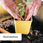 Набор для рассады: стаканы по 200 мл (18 шт.), поддон 36.5×17 см, цвет МИКС, Greengo - Фото 8