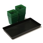 Набор для рассады: стаканы по 600 мл (8 шт.), поддон 36×18 см, цвет МИКС, Greengo - Фото 11