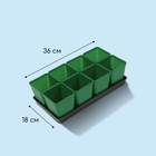 Набор для рассады: стаканы по 600 мл (8 шт.), поддон 36 × 18 см, цвет МИКС, Greengo - Фото 3