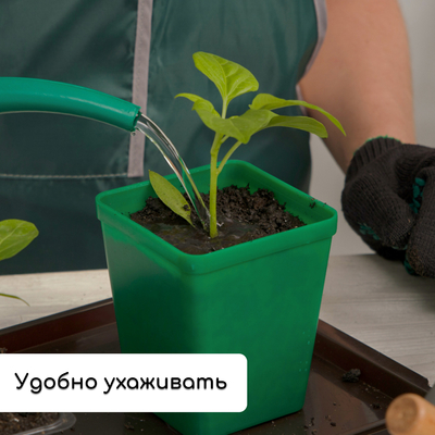 Набор для рассады: стаканы по 600 мл (8 шт.), поддон 36×18 см, цвет МИКС, Greengo