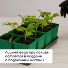 Набор для рассады: стаканы по 600 мл (8 шт.), поддон 36×18 см, цвет МИКС, Greengo - Фото 6