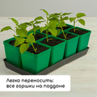 Набор для рассады: стаканы по 600 мл (8 шт.), поддон 36×18 см, цвет МИКС, Greengo - Фото 7